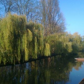 Epoch's Fables Vol.105