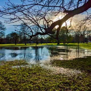 Epoch's Fables Vol.442