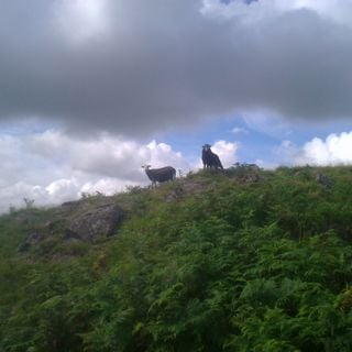 Fila Brazillia Remixes (Pork's Picks Vol.2)