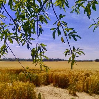 Epoch's Fables Vol.407