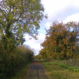 Epoch's Fables Vol.264