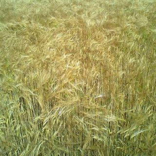 Epoch's Fables Vol.174