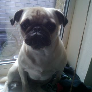 Epoch's Fables Vol.96