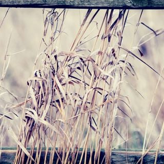 Epoch's Fables Vol.121