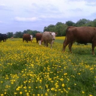 Epoch's Fables Vol.232