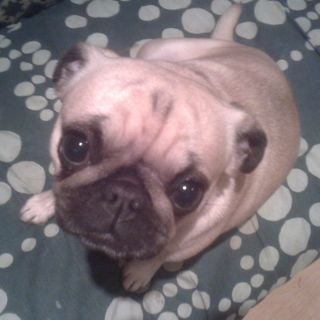 Epoch's Fables Vol.163