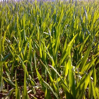 Epoch's Fables Vol.402