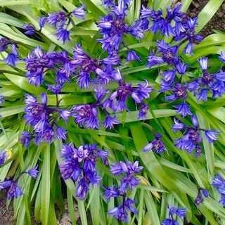 Epoch's Fables Vol.421