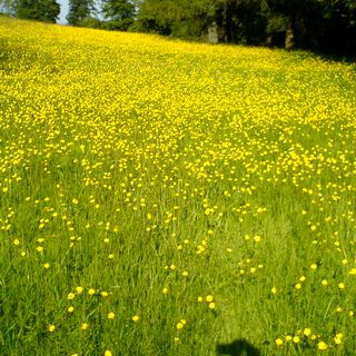 Epoch's Fables Vol.58