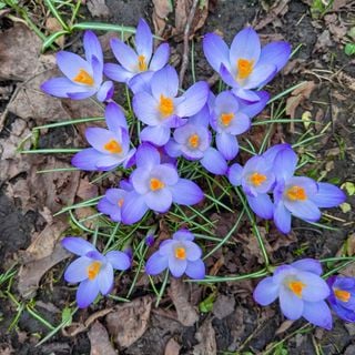 Epoch's Fables Vol.423