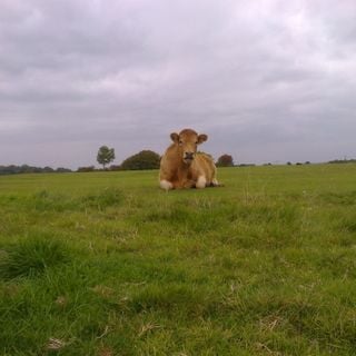 Epoch's Fables Vol.239