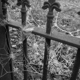 Epoch's Fables Vol.417