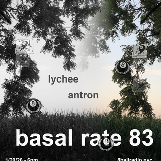 Basal rate 83 w/ lychee & antron