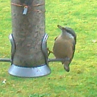 Epoch's Fables Vol.71