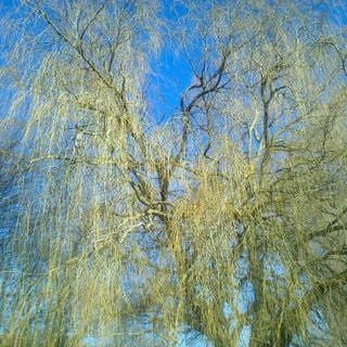 Epoch's Fables Vol.161