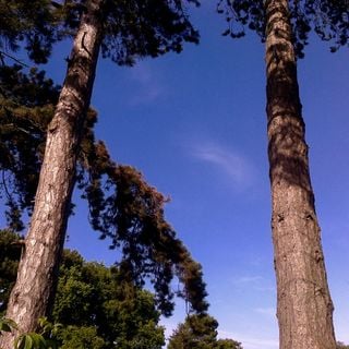 Epoch's Fables Vol.403