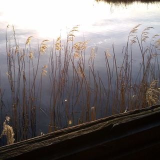 Epoch's Fables Vol.344