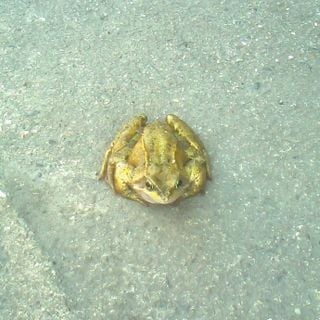 Epoch's Fables Vol.117 