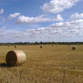 Epoch's Fables Vol.281