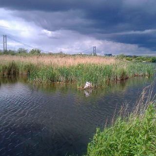 Epoch's Fables Vol.318