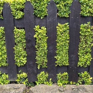 Epoch's Fables Vol.431