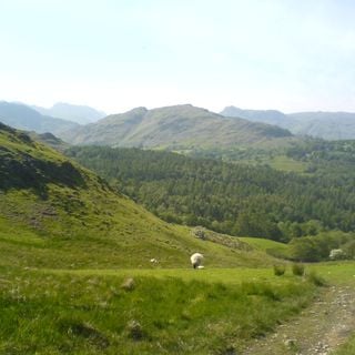 Epoch's Fables Vol.34