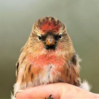 Epoch's Fables Vol.283