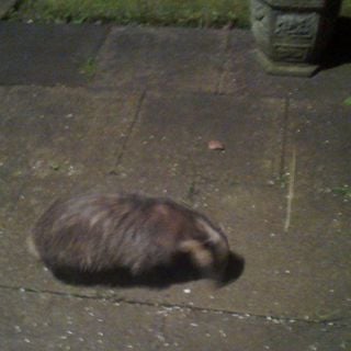 Epoch's Fables Vol.126