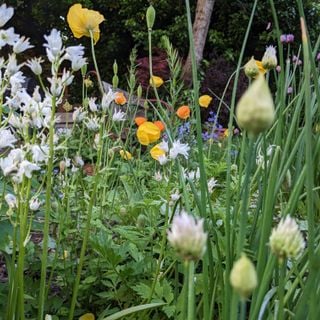 Epoch's Fables Vol.469