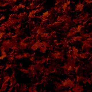 Epoch's Fables Vol.270