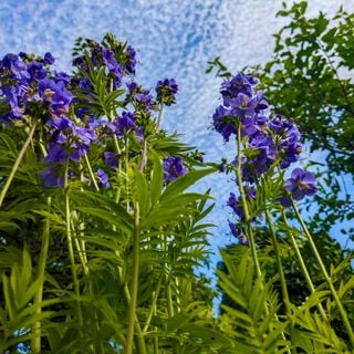 Epoch's Fables Vol.478