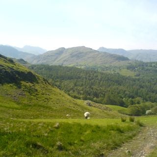 Epoch's Fables Vol.50