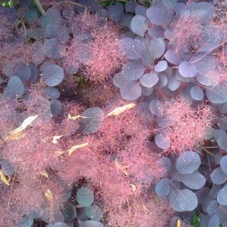 Epoch's Fables Vol.179