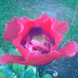 Epoch's Fables Vol.94