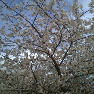 Epoch's Fables Vol.120