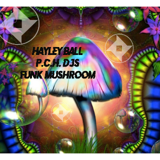 Hayley Ball P.C.H Djs "Funk Mushroom"