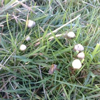 Epoch's Fables Vol.267