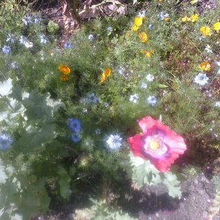 Epoch's Fables Vol.284