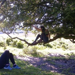 Epoch's Fables Vol.332