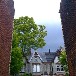 Epoch's Fables Vol.385