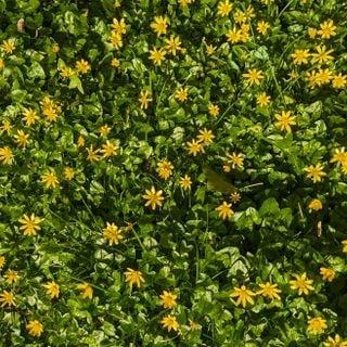 Epoch's Fables Vol.448