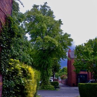 Epoch's Fables Vol.405