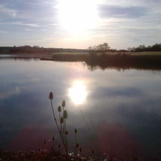 Epoch's Fables Vol.324