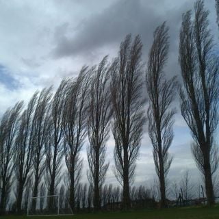 Epoch's Fables Vol.166