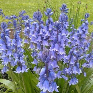 Epoch's Fables Vol.329