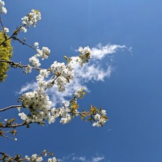 Epoch's Fables Vol.477