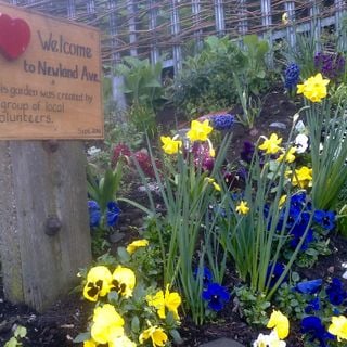 Epoch's Fables Vol.273