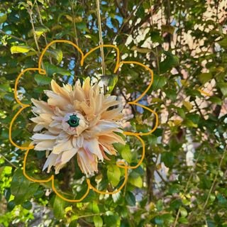 Flower farm w. ruchi (ep. 06)