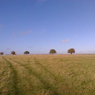 Epoch's Fables Vol.316