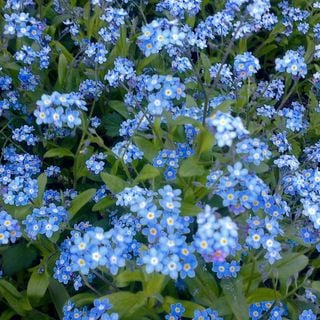 Epoch's Fables Vol.353